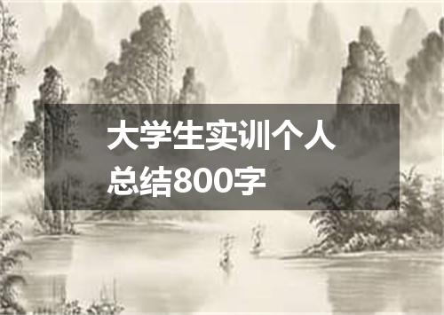 大学生实训个人总结800字