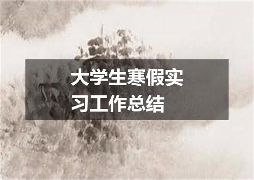 大学生寒假实习工作总结