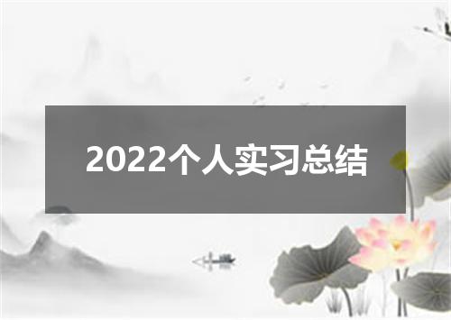 2022个人实习总结