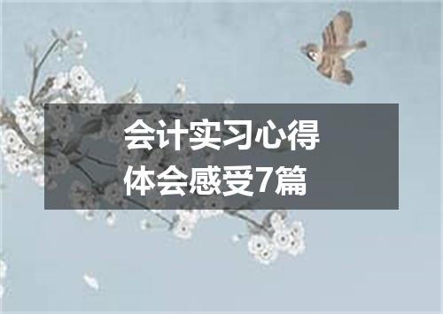 会计实习心得体会感受7篇