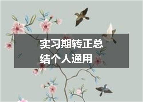 实习期转正总结个人通用