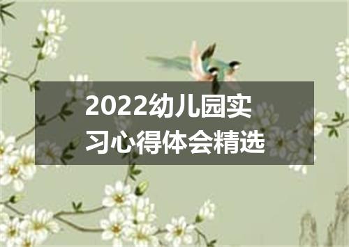 2022幼儿园实习心得体会精选