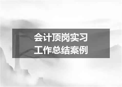 会计顶岗实习工作总结案例