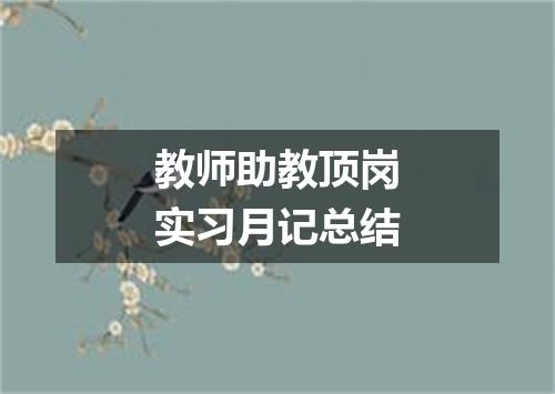 教师助教顶岗实习月记总结