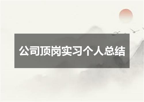 公司顶岗实习个人总结
