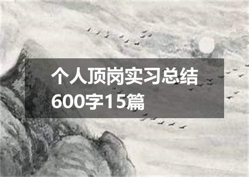 个人顶岗实习总结600字15篇