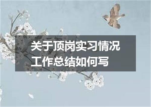 关于顶岗实习情况工作总结如何写