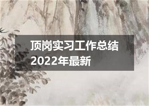 顶岗实习工作总结2022年最新