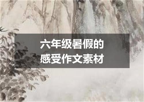 六年级暑假的感受作文素材