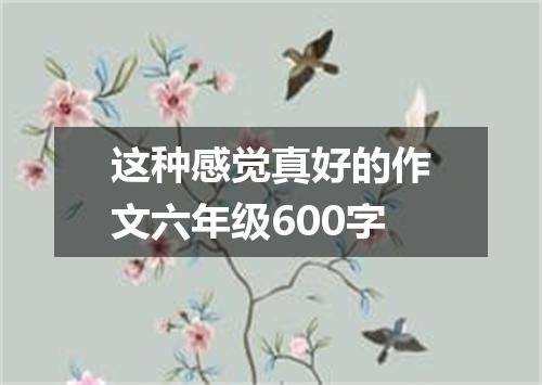 这种感觉真好的作文六年级600字