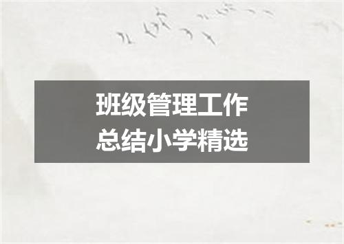 班级管理工作总结小学精选