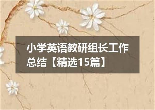 小学英语教研组长工作总结【精选15篇】