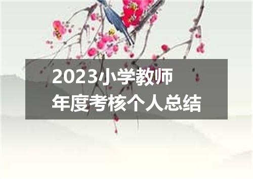2023小学教师年度考核个人总结