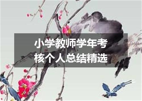 小学教师学年考核个人总结精选