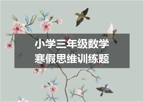 小学三年级数学寒假思维训练题