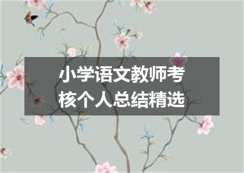 小学语文教师考核个人总结精选