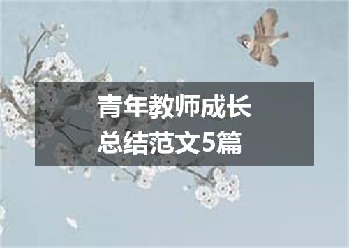 青年教师成长总结范文5篇