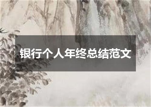 银行个人年终总结范文