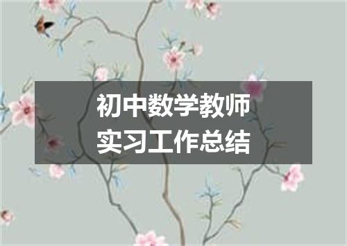 初中数学教师实习工作总结