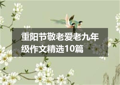 重阳节敬老爱老九年级作文精选10篇