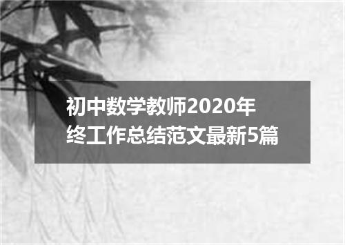 初中数学教师2020年终工作总结范文最新5篇