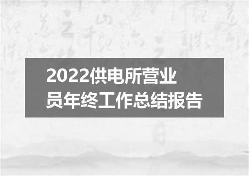 2022供电所营业员年终工作总结报告