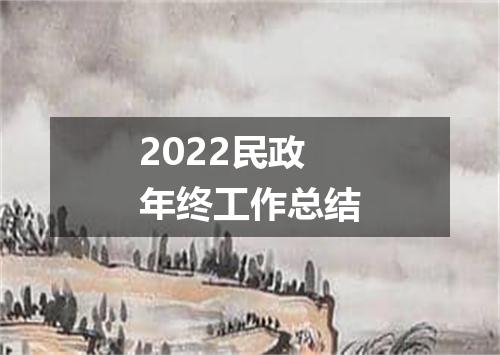2022民政年终工作总结