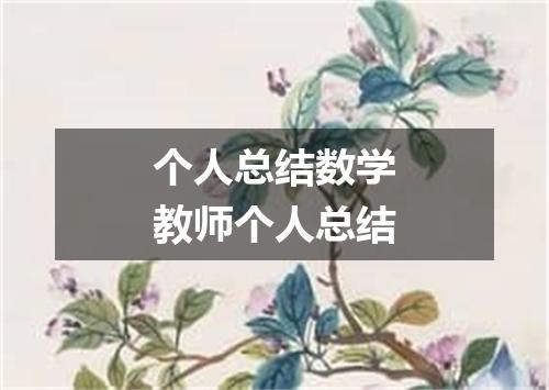 个人总结数学教师个人总结