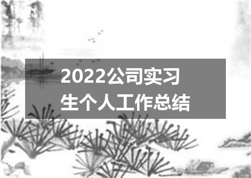 2022公司实习生个人工作总结