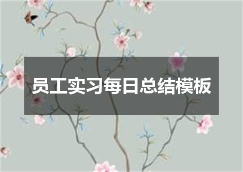 员工实习每日总结模板
