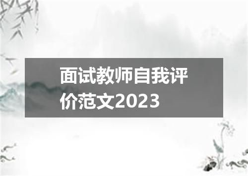 面试教师自我评价范文2023
