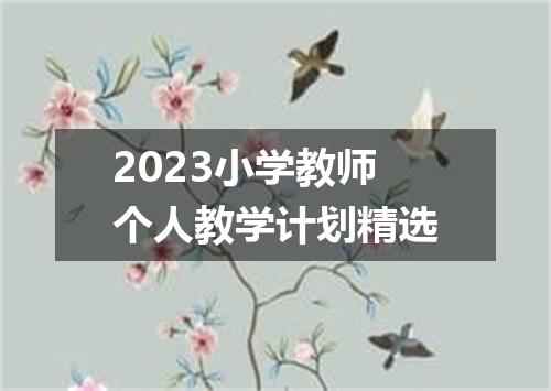 2023小学教师个人教学计划精选