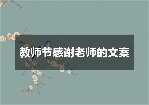 教师节感谢老师的文案