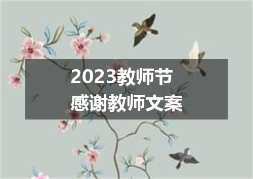 2023教师节感谢教师文案