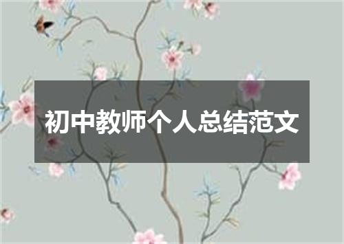 初中教师个人总结范文