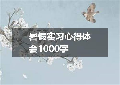 暑假实习心得体会1000字
