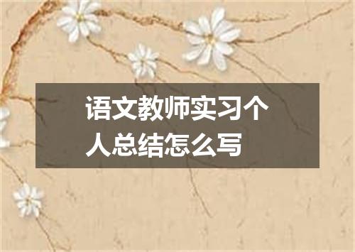 语文教师实习个人总结怎么写