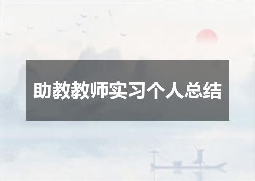 助教教师实习个人总结