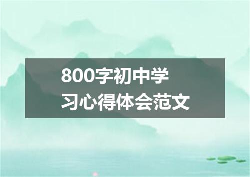 800字初中学习心得体会范文