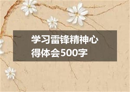 学习雷锋精神心得体会500字