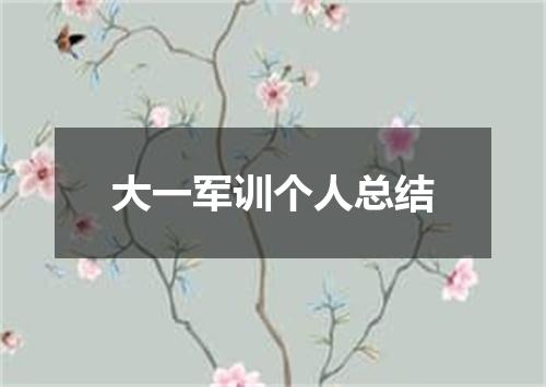 大一军训个人总结