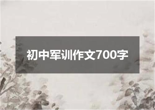 初中军训作文700字