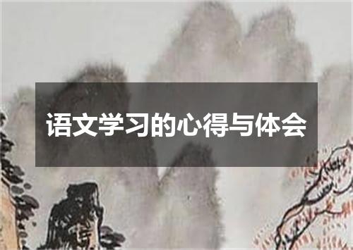 语文学习的心得与体会