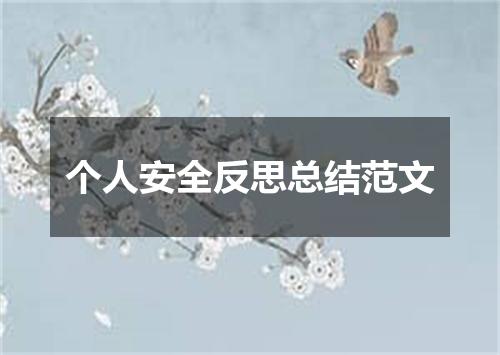 个人安全反思总结范文