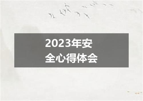 2023年安全心得体会