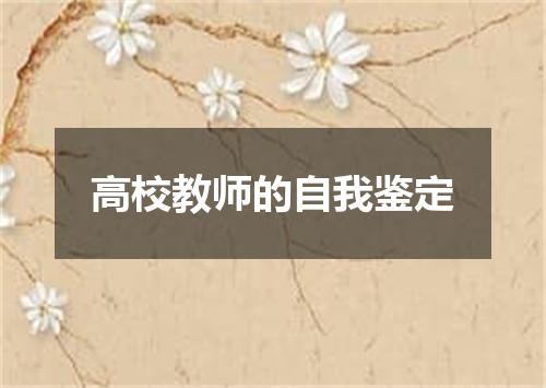 高校教师的自我鉴定