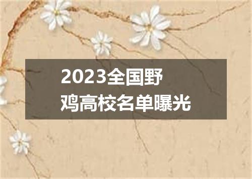 2023全国野鸡高校名单曝光