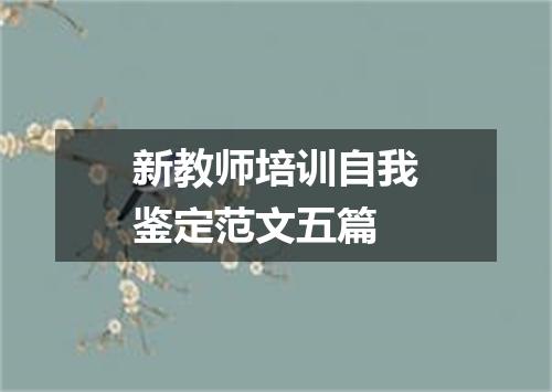 新教师培训自我鉴定范文五篇