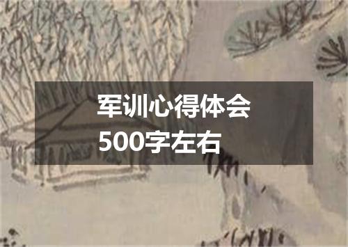 军训心得体会500字左右