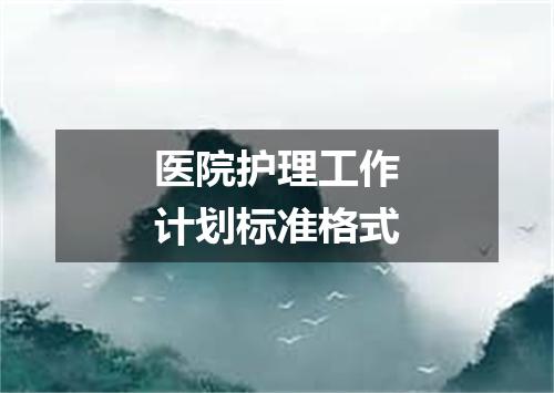 医院护理工作计划标准格式